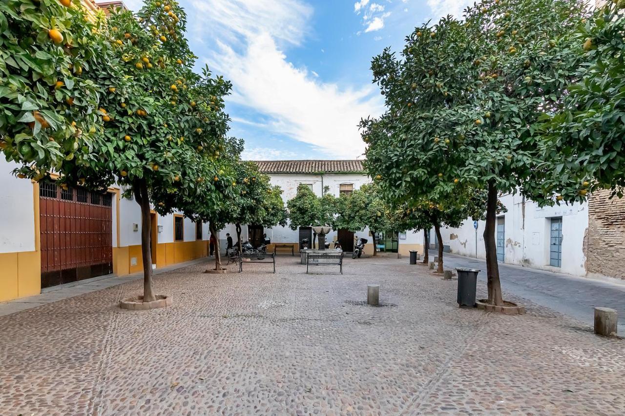 Bhost - Regina VI Córdoba Exterior foto